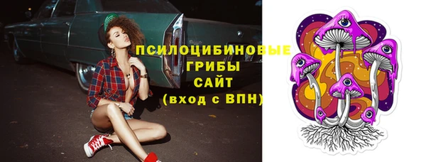 spice Ельня