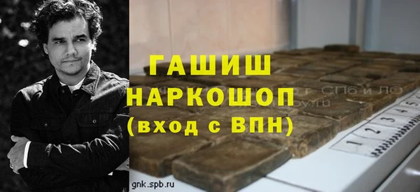 spice Ельня