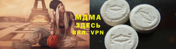spice Ельня