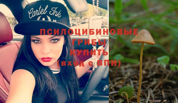 mix Елизово