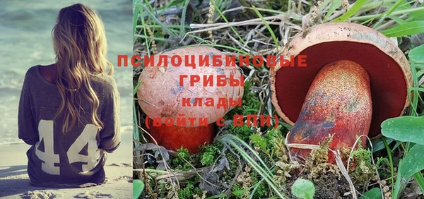 PSILOCYBIN Дмитровск